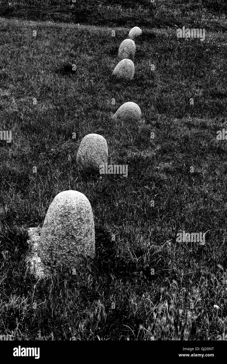 Diagonal row of oval granite stones across grass meadow Stock Photo