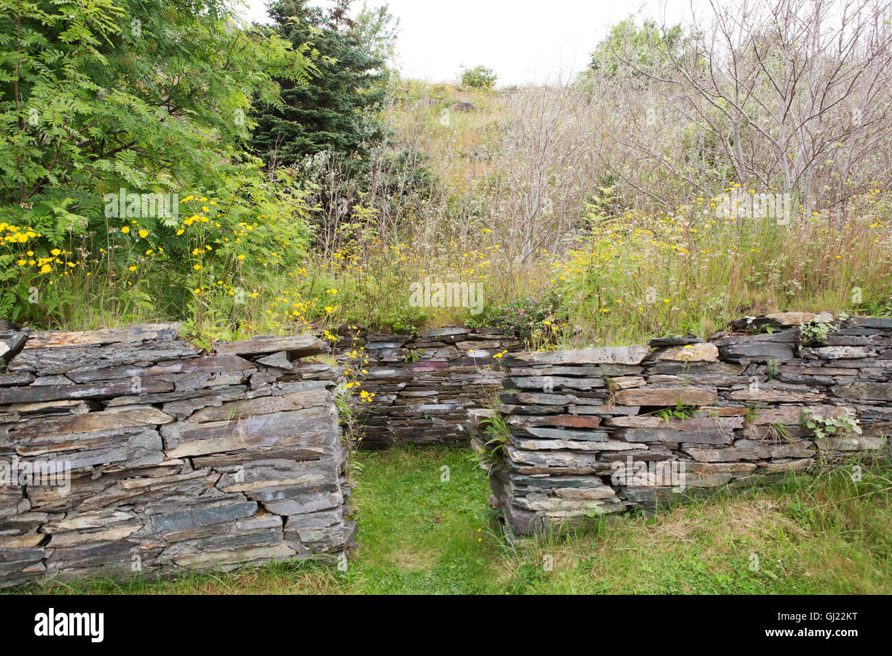 The remains of root cellar at Bay Roberts in Newfoundland and Labrador, Canada. Stock Photo