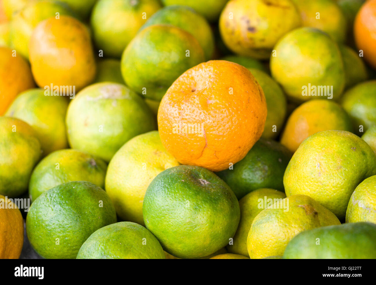 Mandarina Local Oranges on sale . A display of unsprayed local