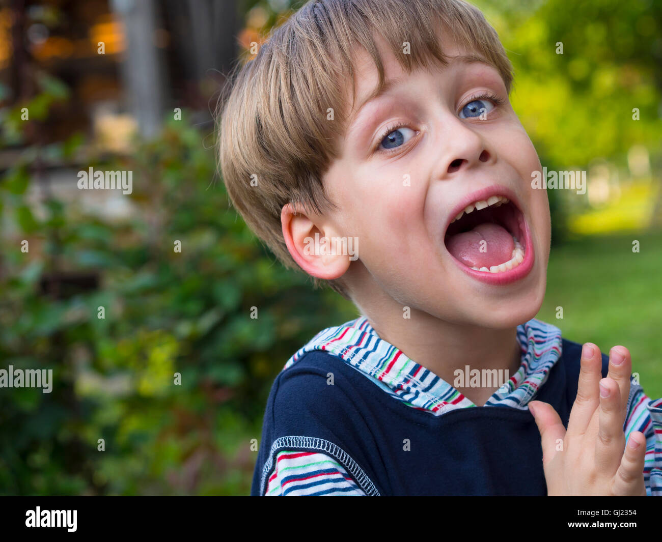 portrait of a cute boy in the nature Stock Photo