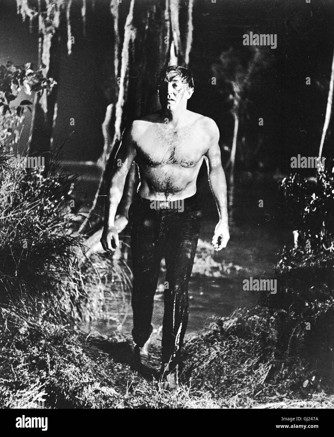 Cape fear movie hi-res stock photography and images - Alamy