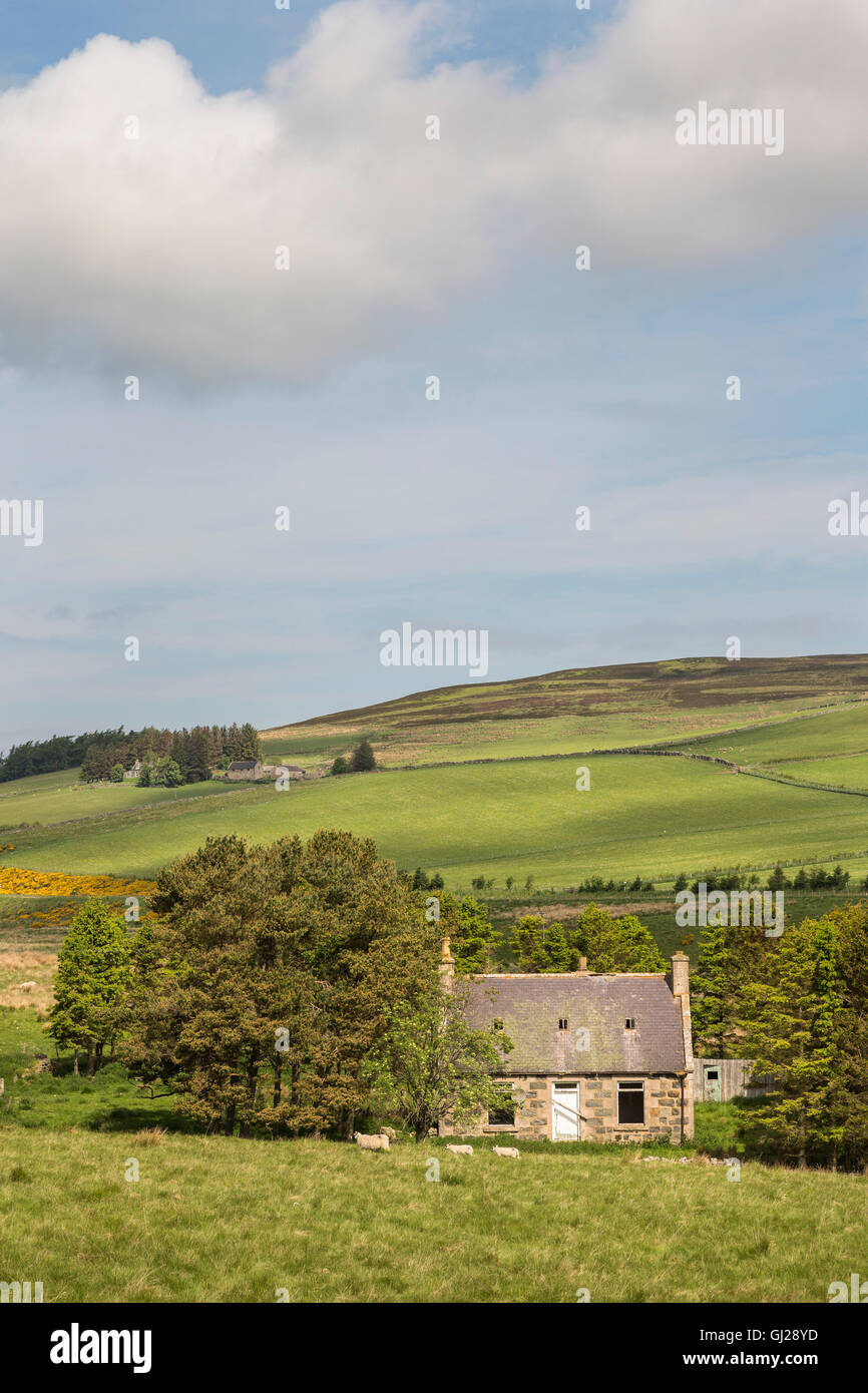 Burntreble hires stock photography and images Alamy