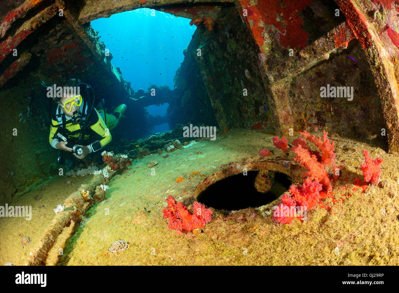 Shipwreck Hamada, Bulk Carrier, and scuba diver on ship wreck, Marsa Alam, Wadi Gimal, Marsa Alam, Red Sea, Egypt, Africa Stock Photo