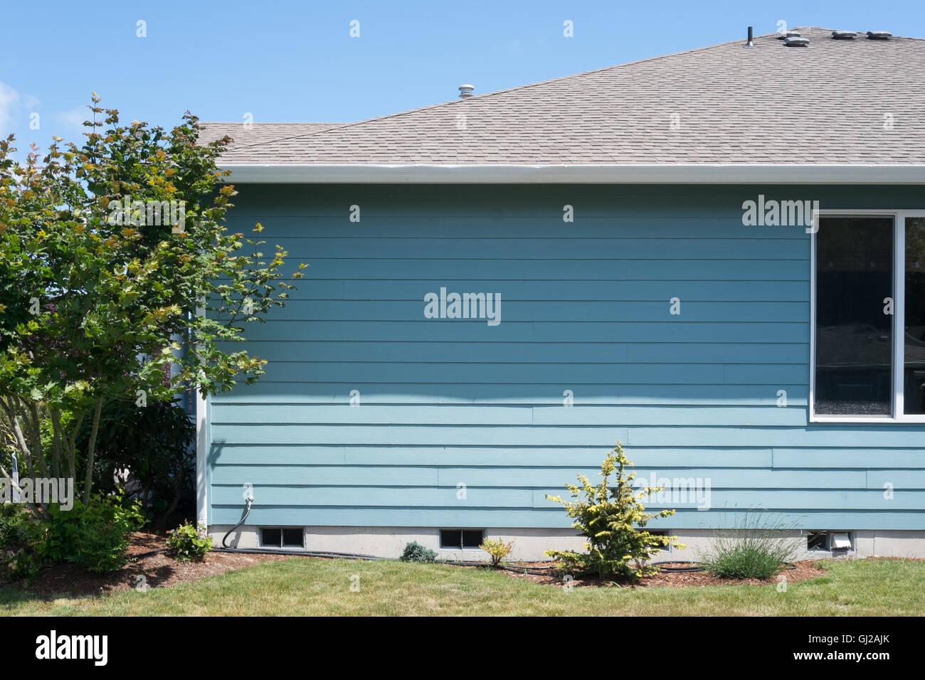 American suburban home painted blue with well kept landscape and a new cedar fence Stock Photo