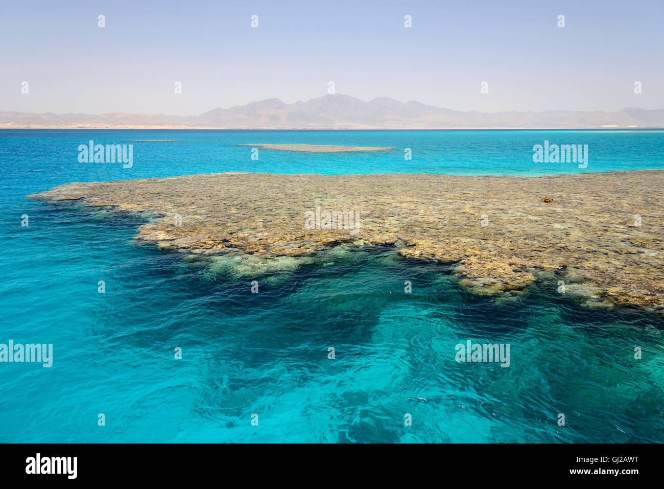 submerged Island, coralreef and turquoise blue sea water, Safaga, Red Sea, Egypt, Africa Stock Photo