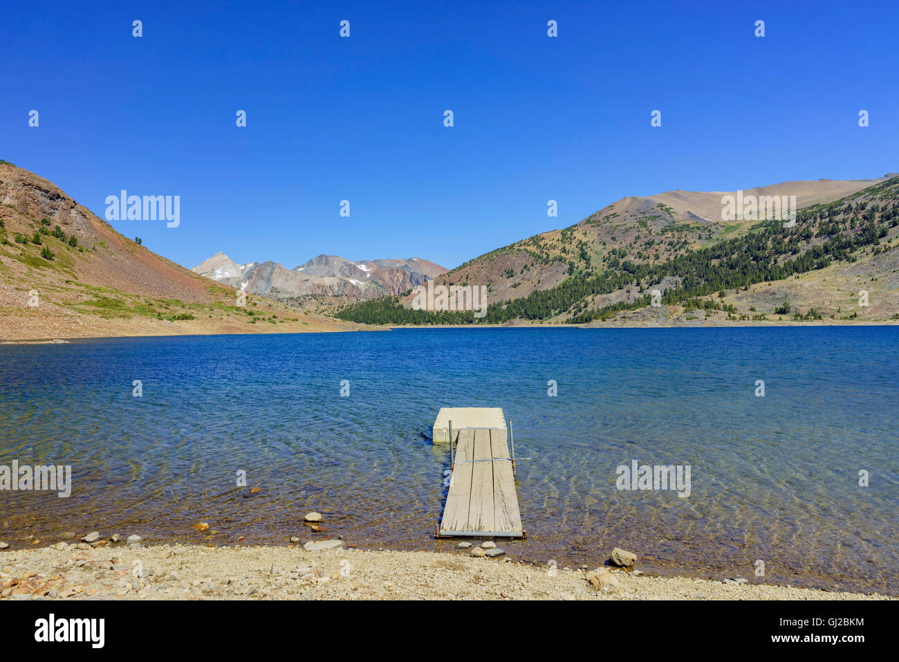 The beautiful Saddlebag Lake of Inyo National Forest Stock Photo Alamy