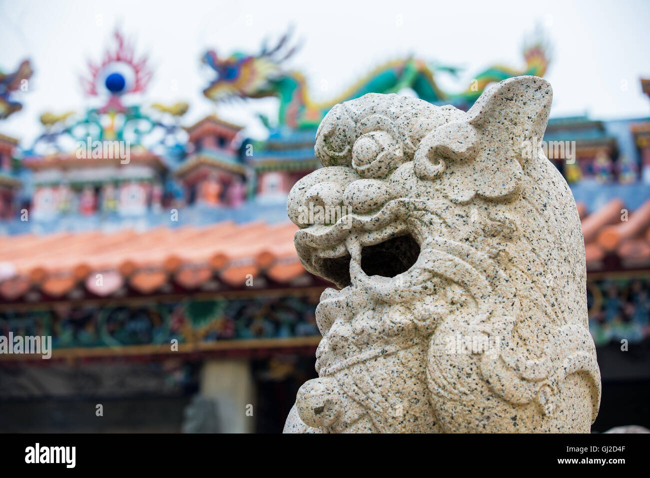 Chinese stone lion with blur temple background Stock Photo - Alamy