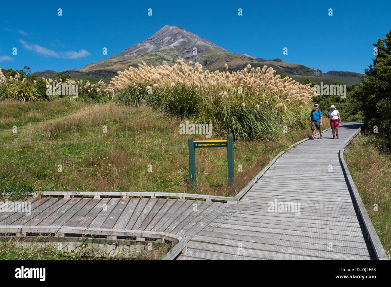 Egmont National Park, Mount Taranaki, North Island, New Zealand Stock