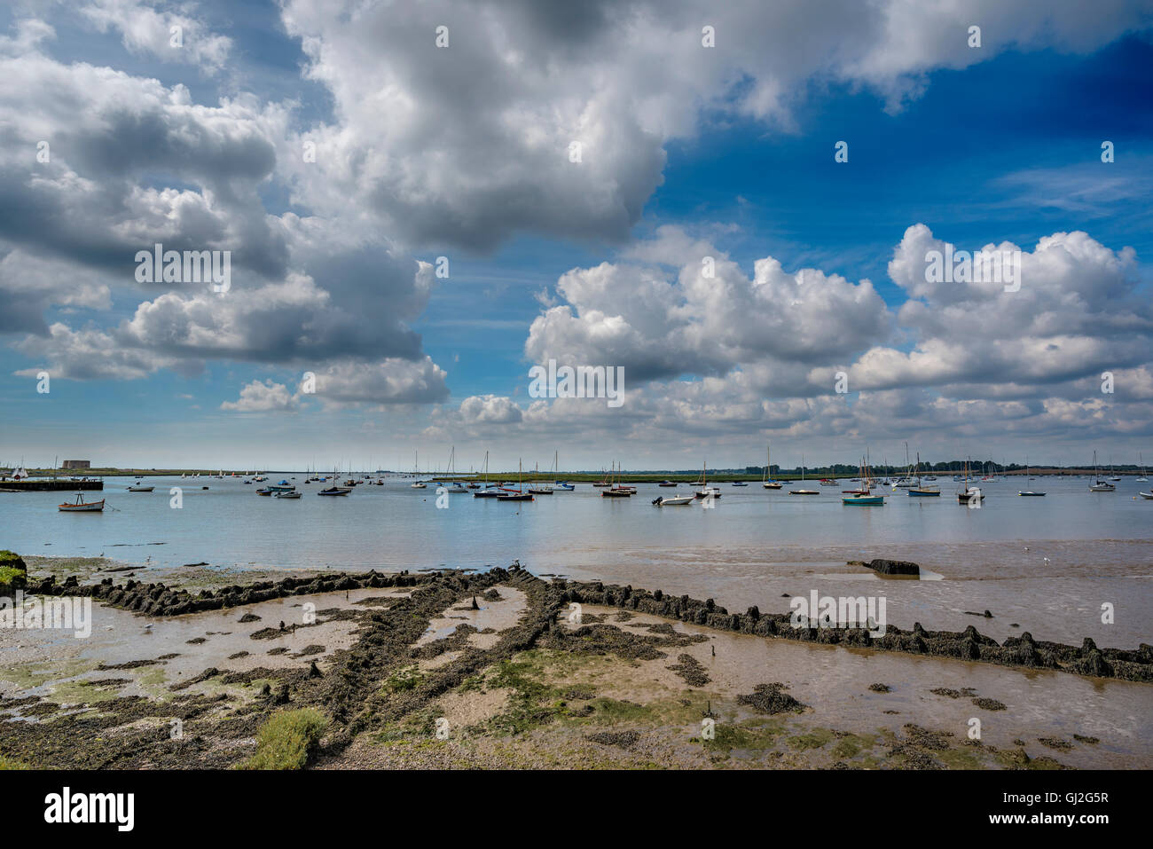 Yachts moored up on a Suffolk estuary in Summer Stock Photo