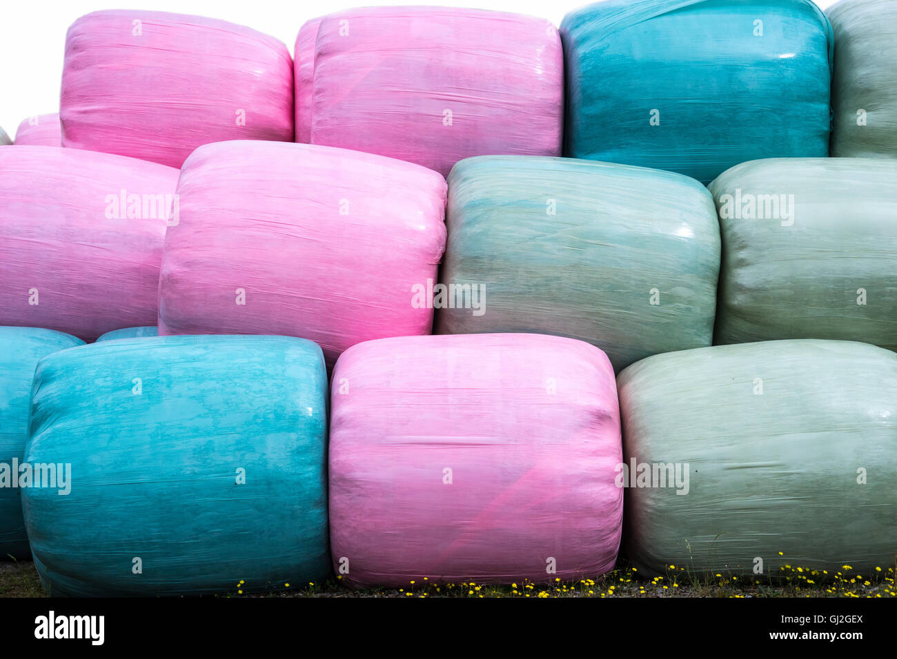 Stack of pink, blue and green silage bags Stock Photo