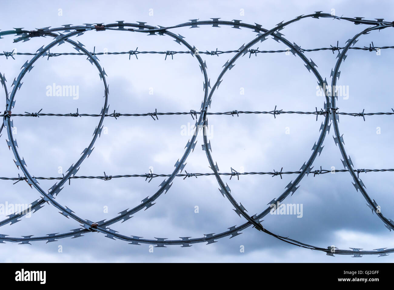 Multistrand Coiled razor and barbed wire fence Stock Photo Alamy