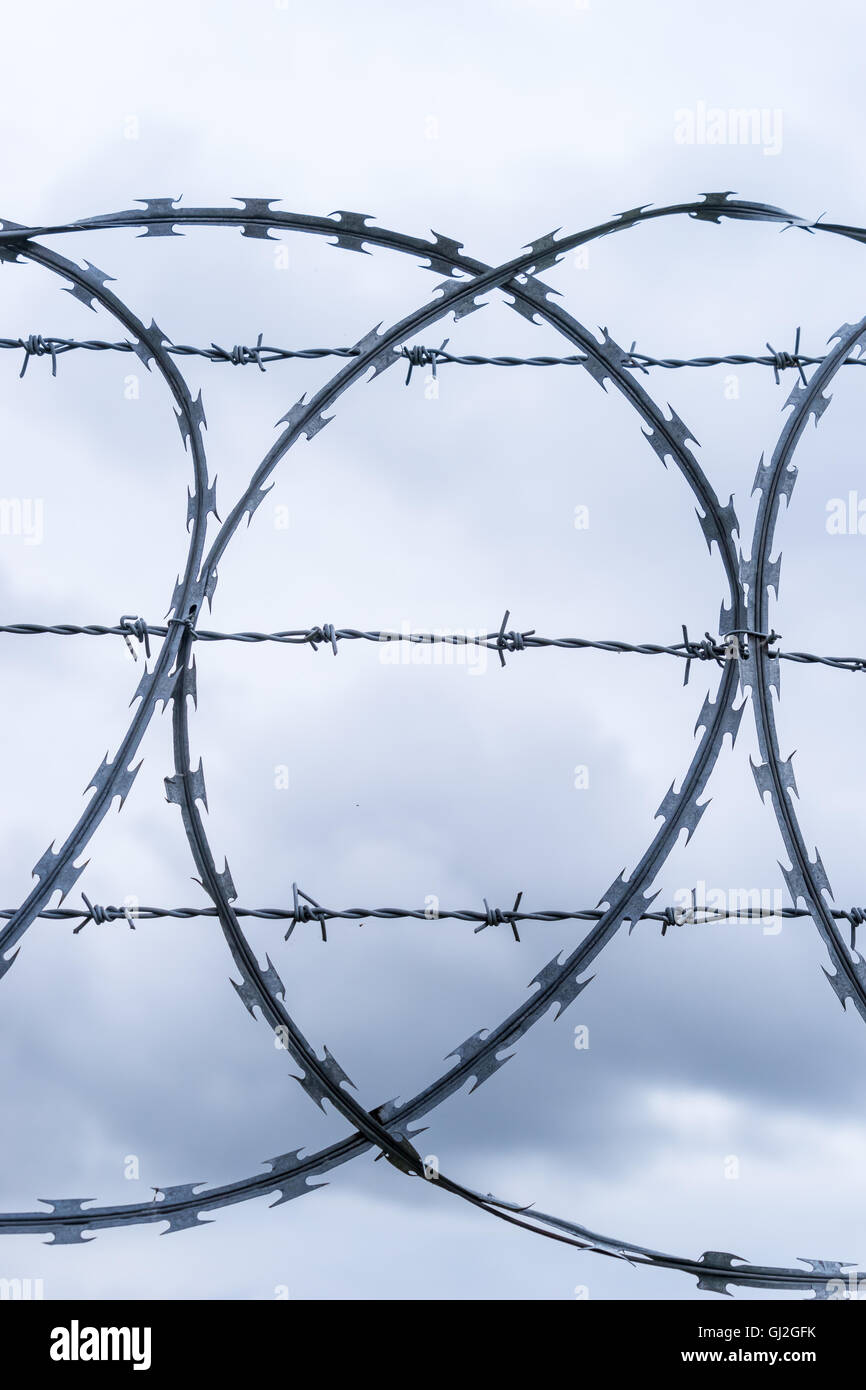 Multistrand Coiled razor and barbed wire fence Stock Photo - Alamy