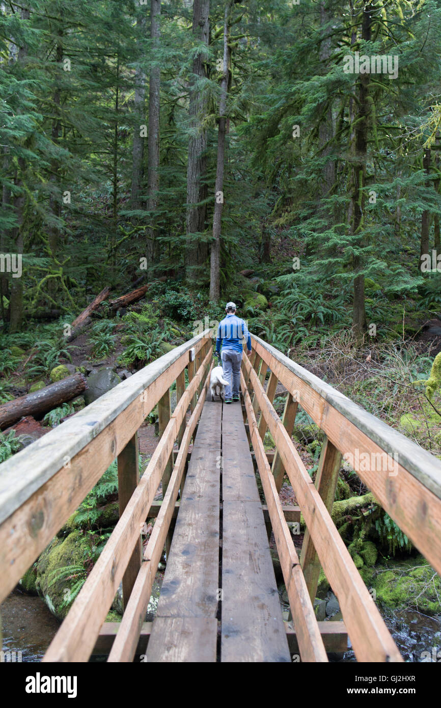 Man and dog on wooden footbridge in forest Stock Photo