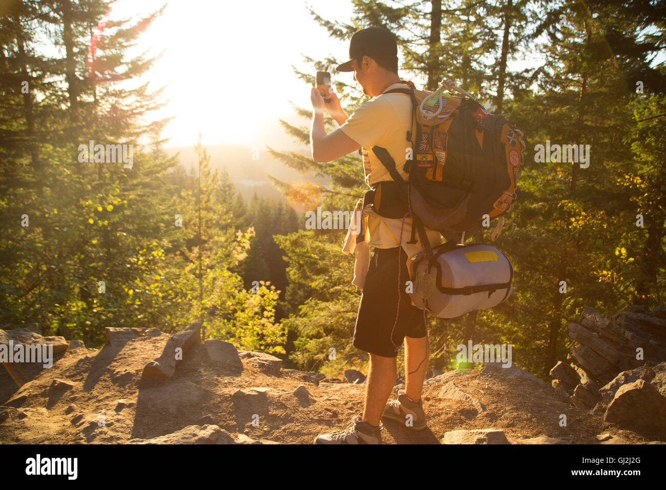 Male hiker taking smartphone photograph from forest ridge, Mount Hood National Forest, Oregon, USA Stock Photo