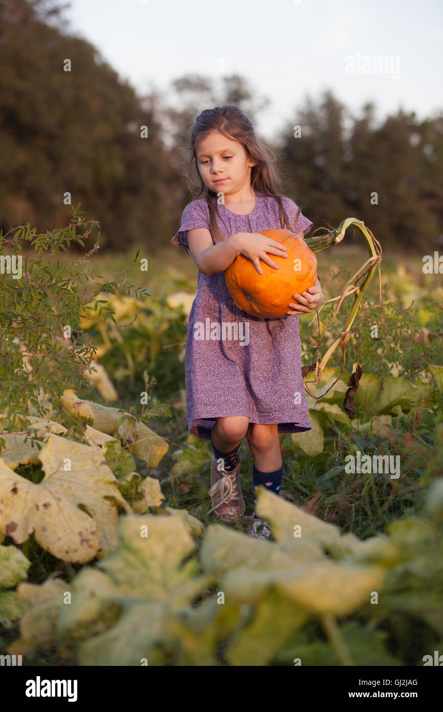 Young girl in pumpkin patch, carrying pumpkin Stock Photo - Alamy