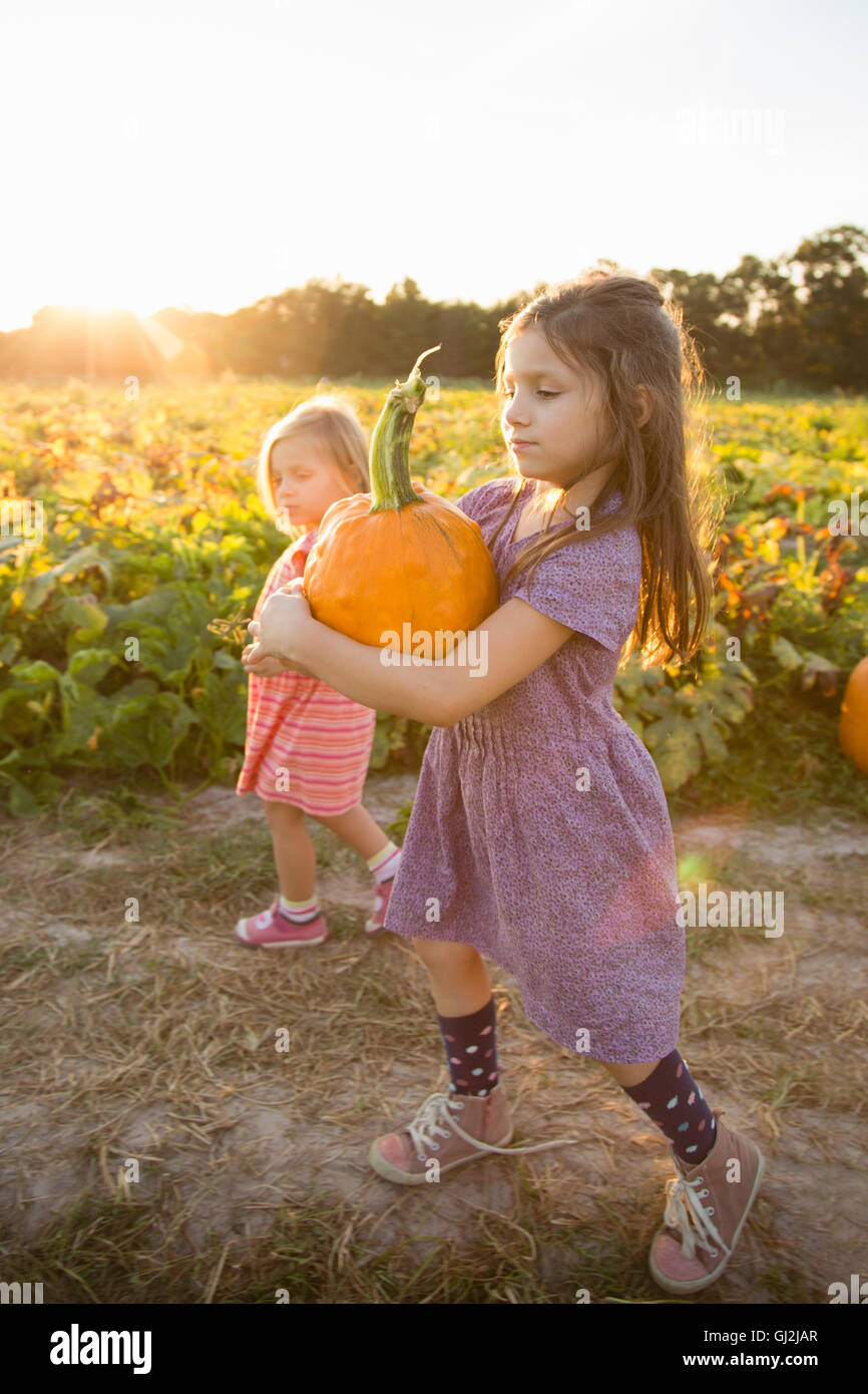 Young girl beside pumpkin patch, carrying pumpkin Stock Photo