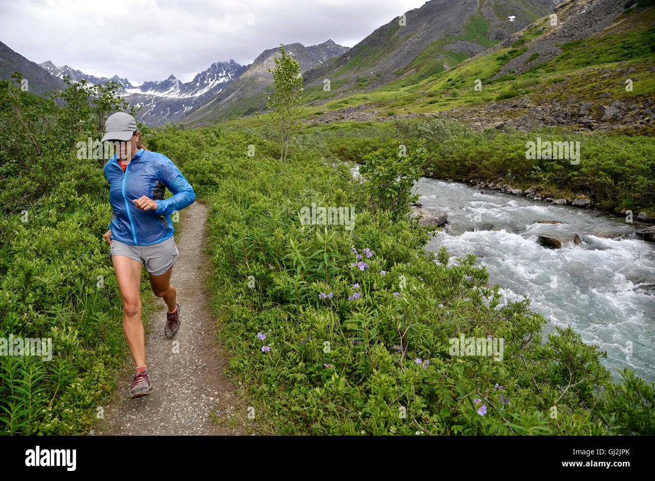 Woman running the Gold Mint Trail by Little Susitna River, Talkeetna Mountains near Hatcher Pass, Alaska, USA Stock Photo