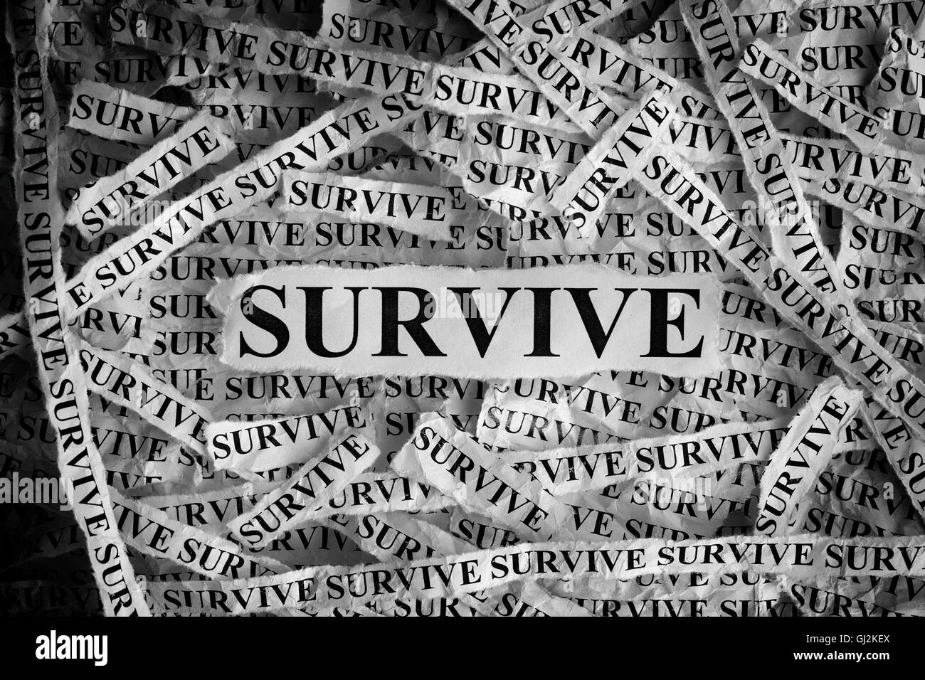 Survive. Torn pieces of paper with the word Survive. Concept Image. Black and White. Closeup. Stock Photo