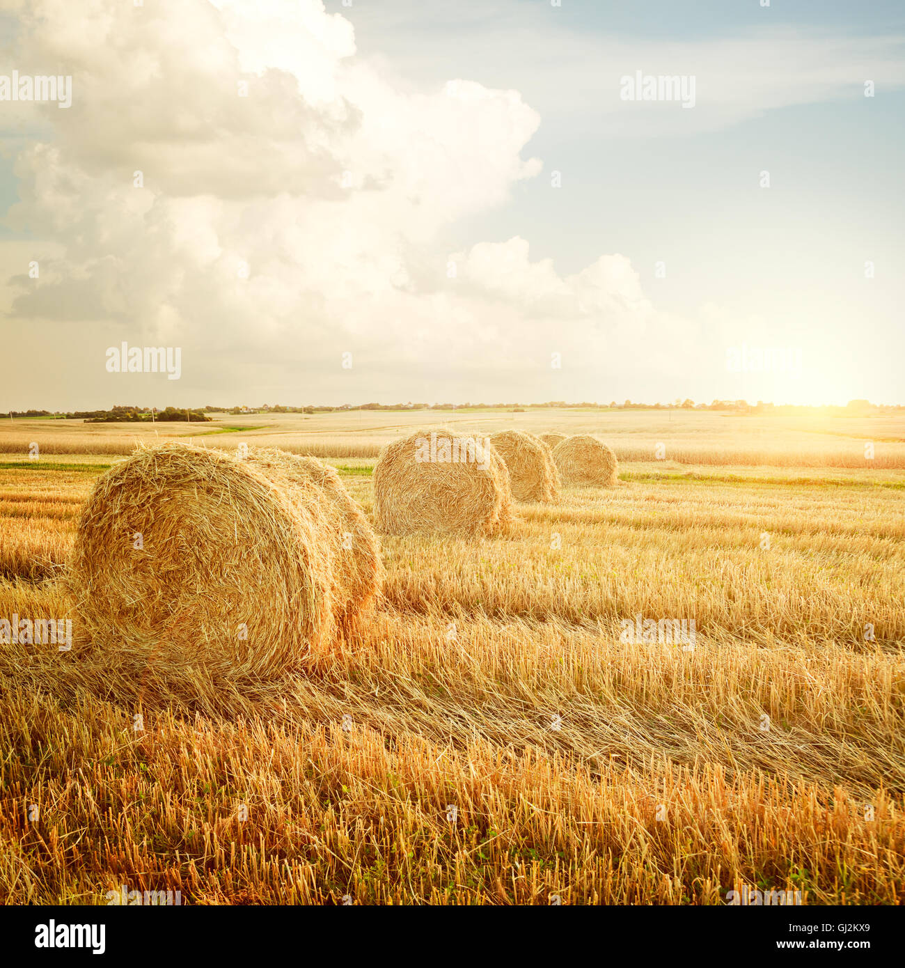 Farm Square Haystack Square haystack hi-res stock photography and images - Alamy
