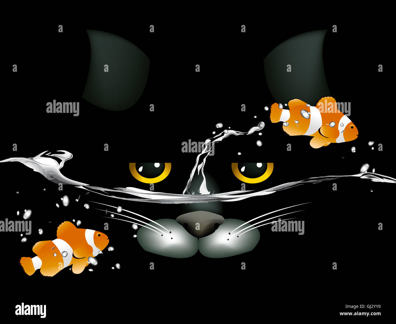 black cat looking at two clown fish Stock Photo