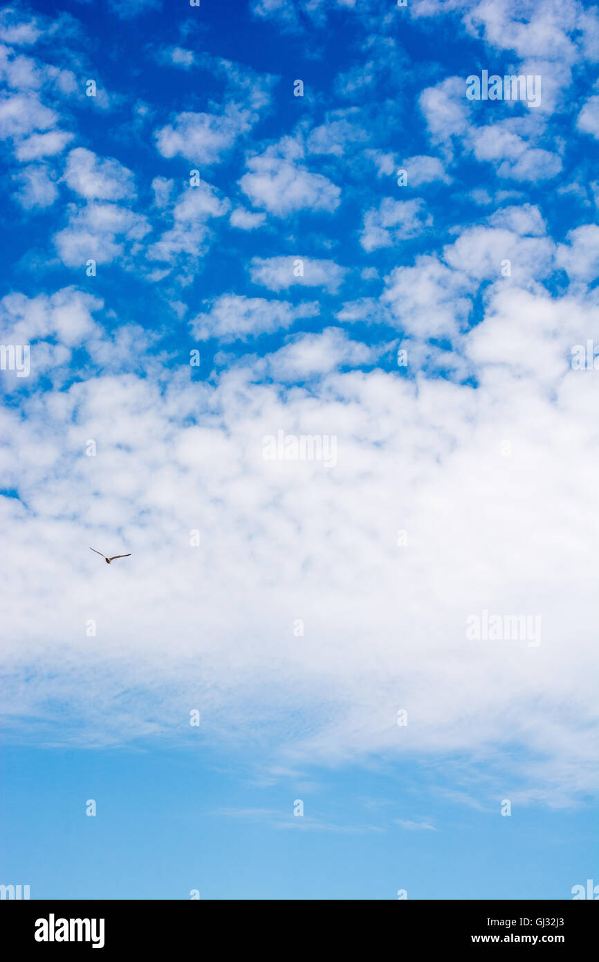 Beautiful white clouds on a sunny day Stock Photo - Alamy
