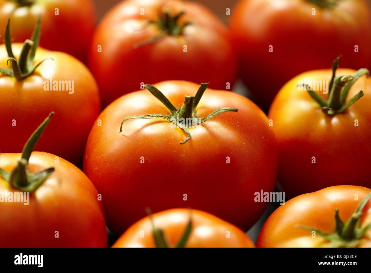 Bright red tomato Stock Photo - Alamy