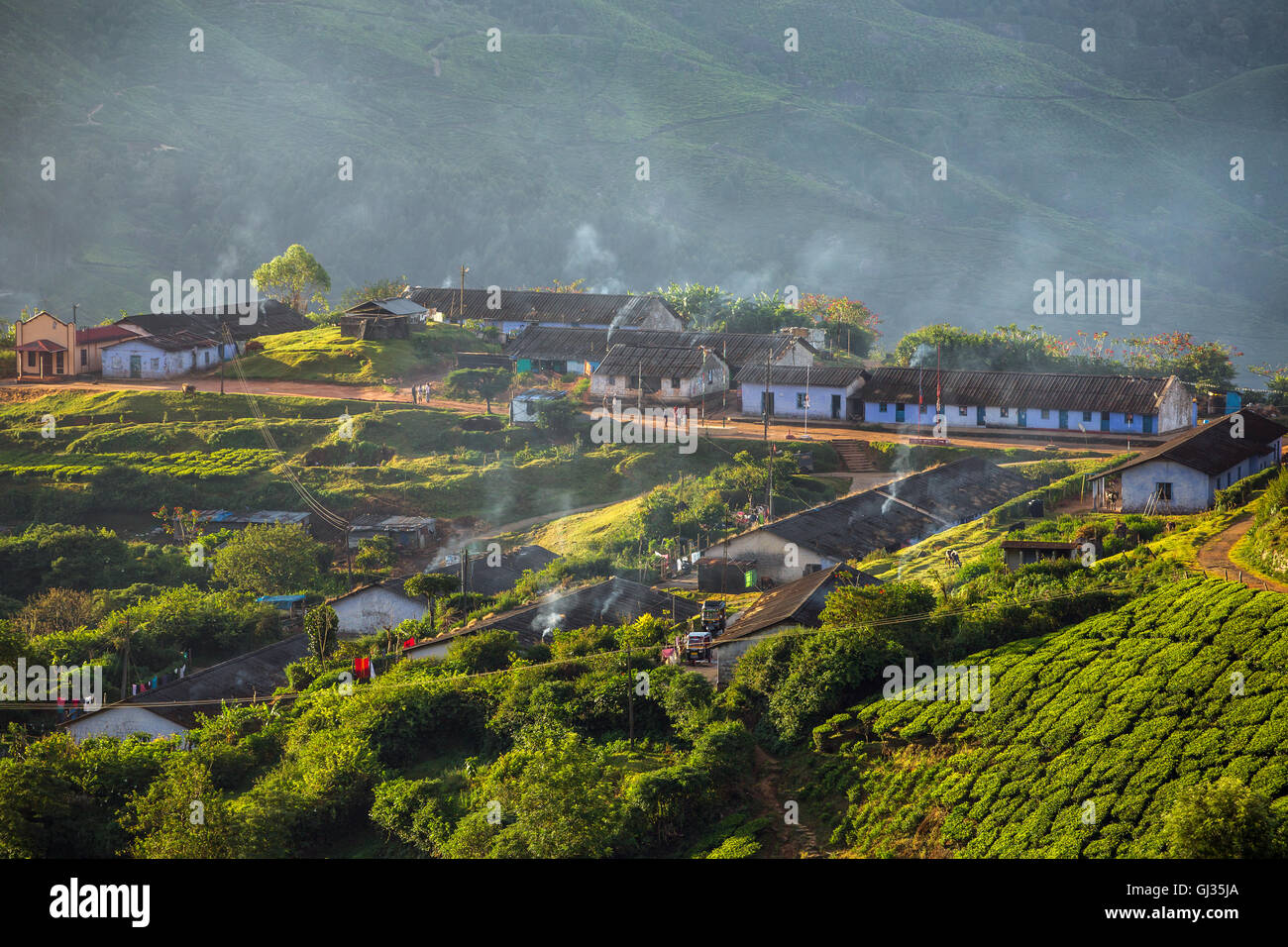 Houses for plantation workers in Munnar tea plantations, Kerala, India