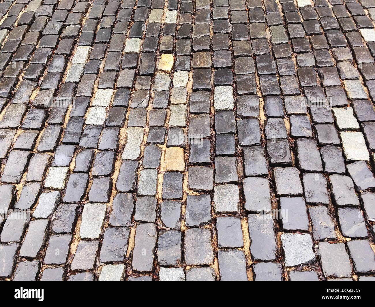 old rough granite wet cobblestone road after rain Stock Photo - Alamy