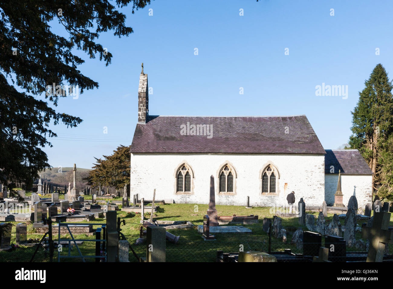 Woodland and bench and remains of Talley Abbey,east of Llandeilo,Carmarthenshire,Wales,U.K., Stock Photo