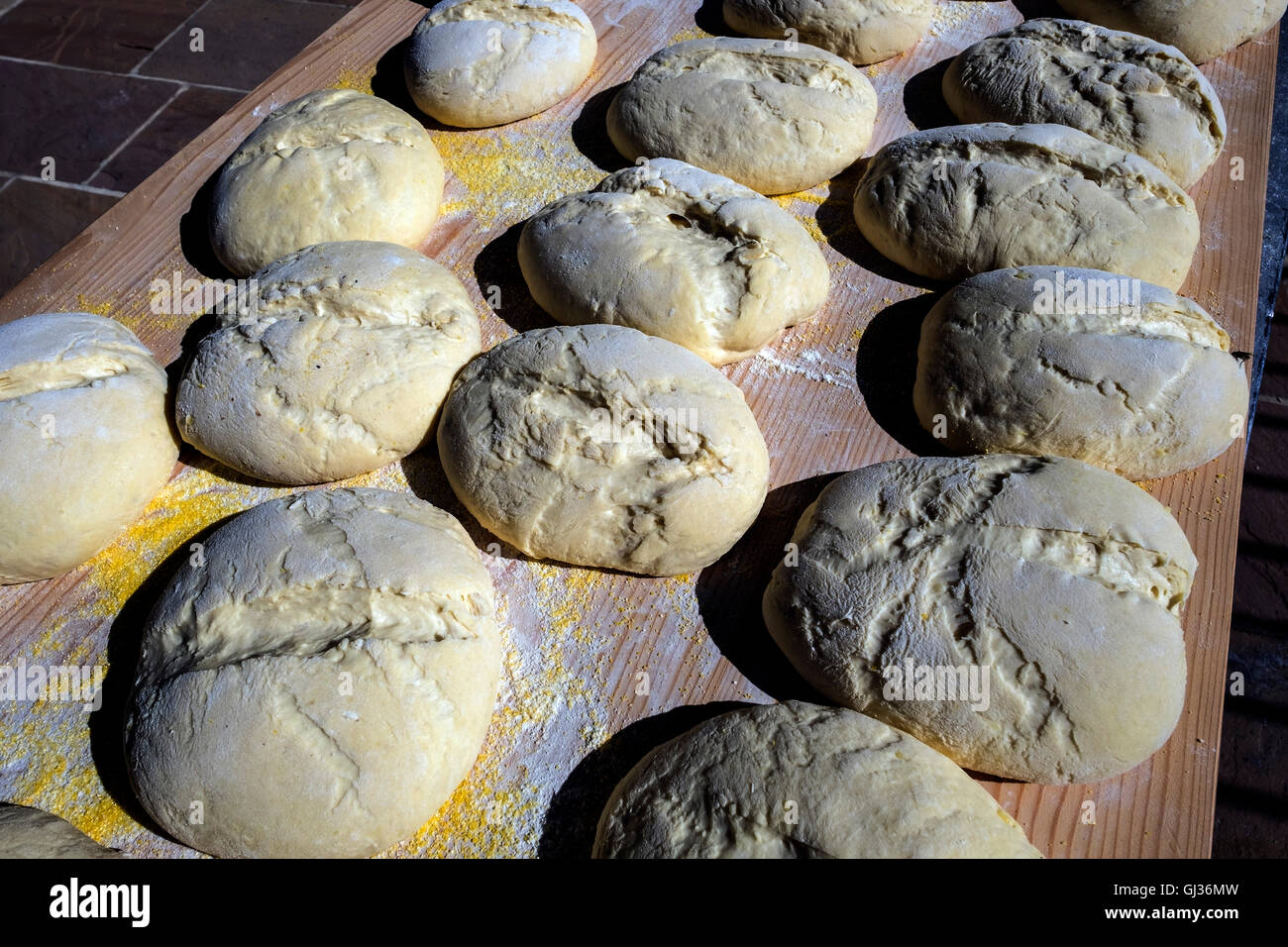 Bread making dough in a bowl Stock Photo - Alamy