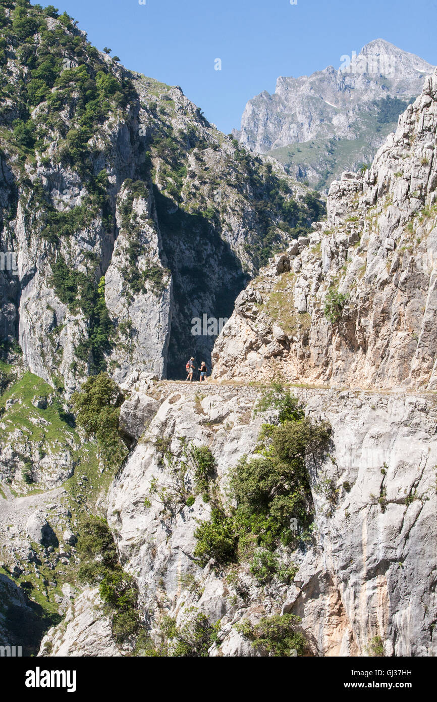 Hiking Cares Gorge in Picos de Europa,Asturias,Spain,Europe. Stock Photo