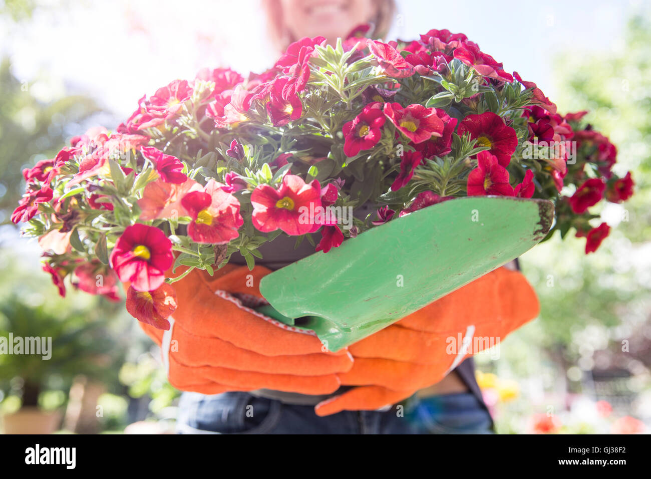 Woman carrying pink flowering plant in garden Stock Photo