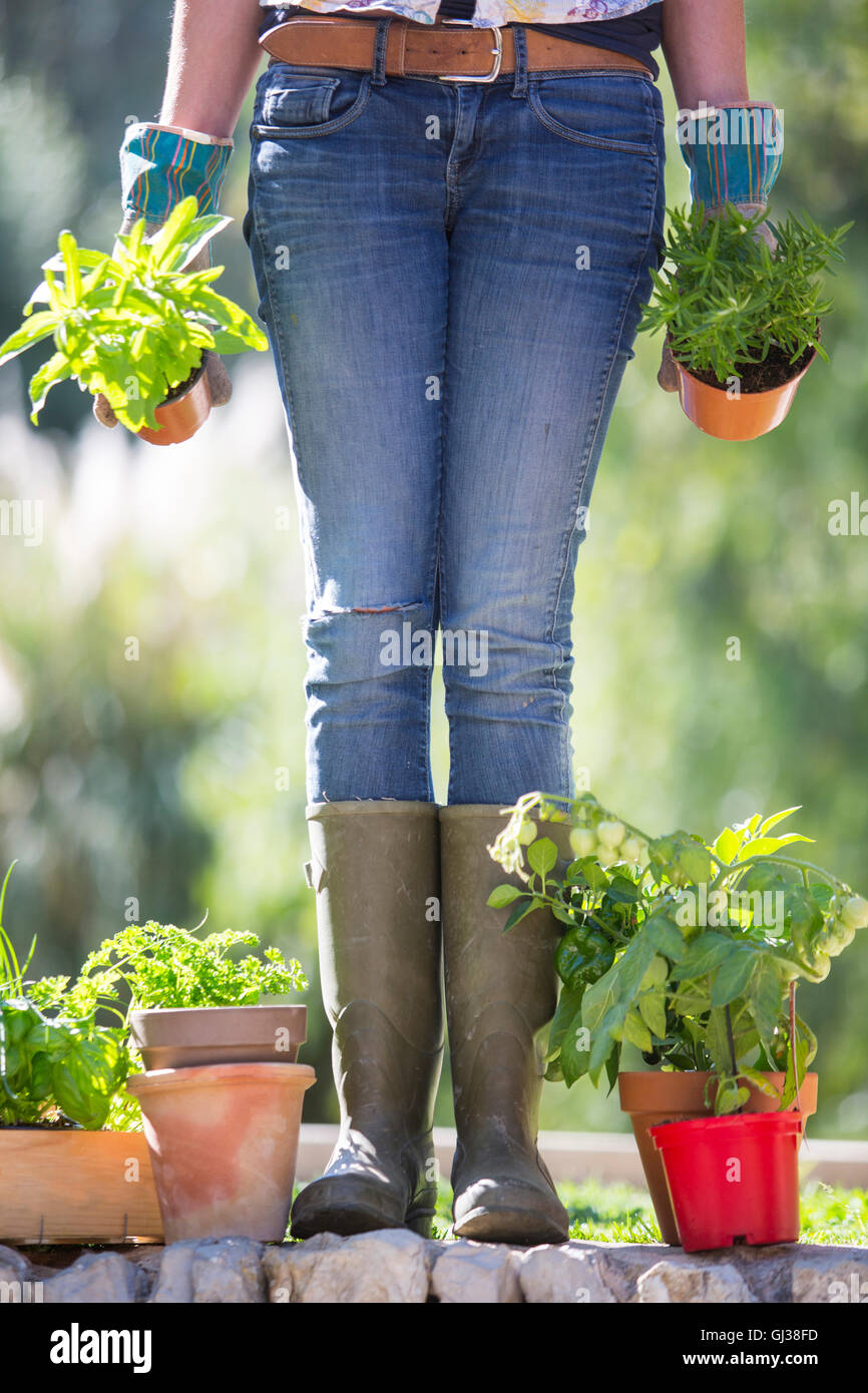 Waist down view of woman with herb plants in garden Stock Photo