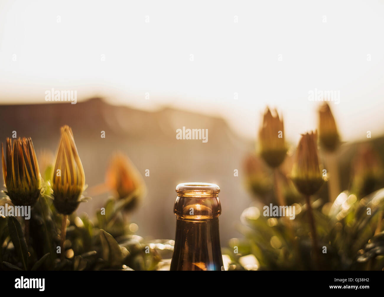 Top of glass bottle, flowers behind Stock Photo