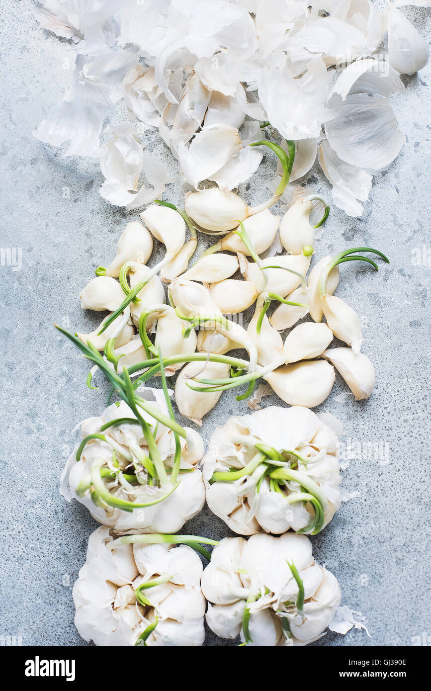 Overhead view of sprouting garlic bulbs and peeled cloves Stock Photo