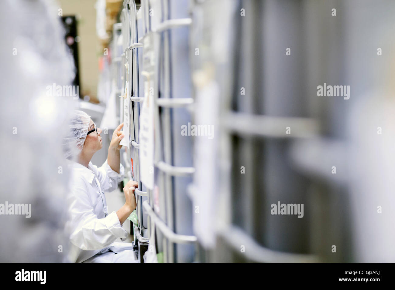 Factory worker checking paperwork on roll cage Stock Photo