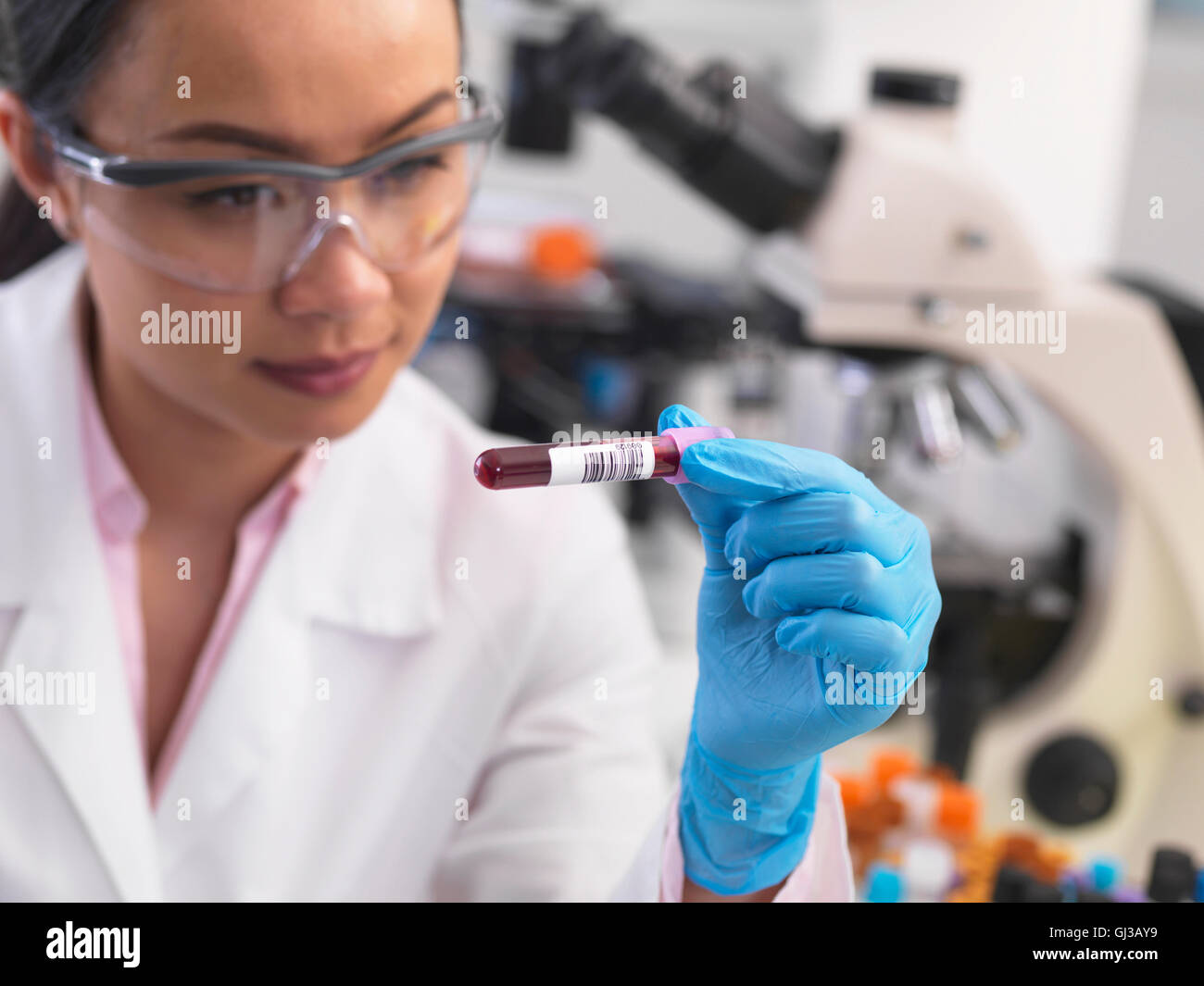 Scientist preparing clinical samples for medical testing in a laboratory Stock Photo