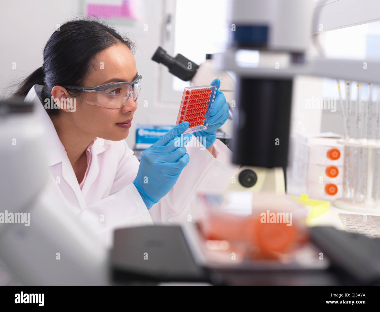 Scientist preparing a micro plate with blood samples for medical testing in a laboratory Stock Photo