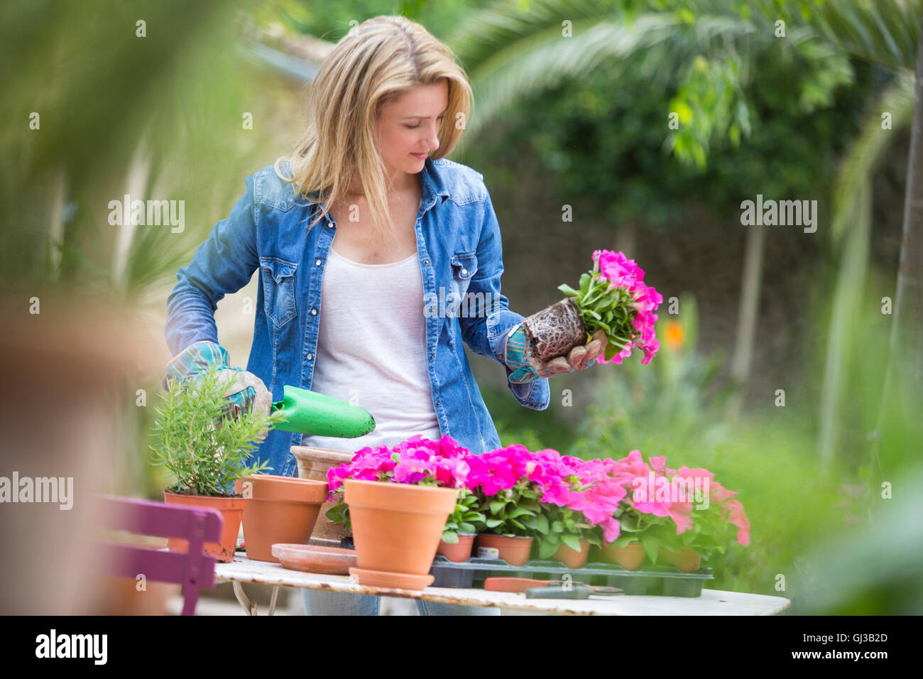 Young woman tending pink flower pot plant at garden table Stock Photo