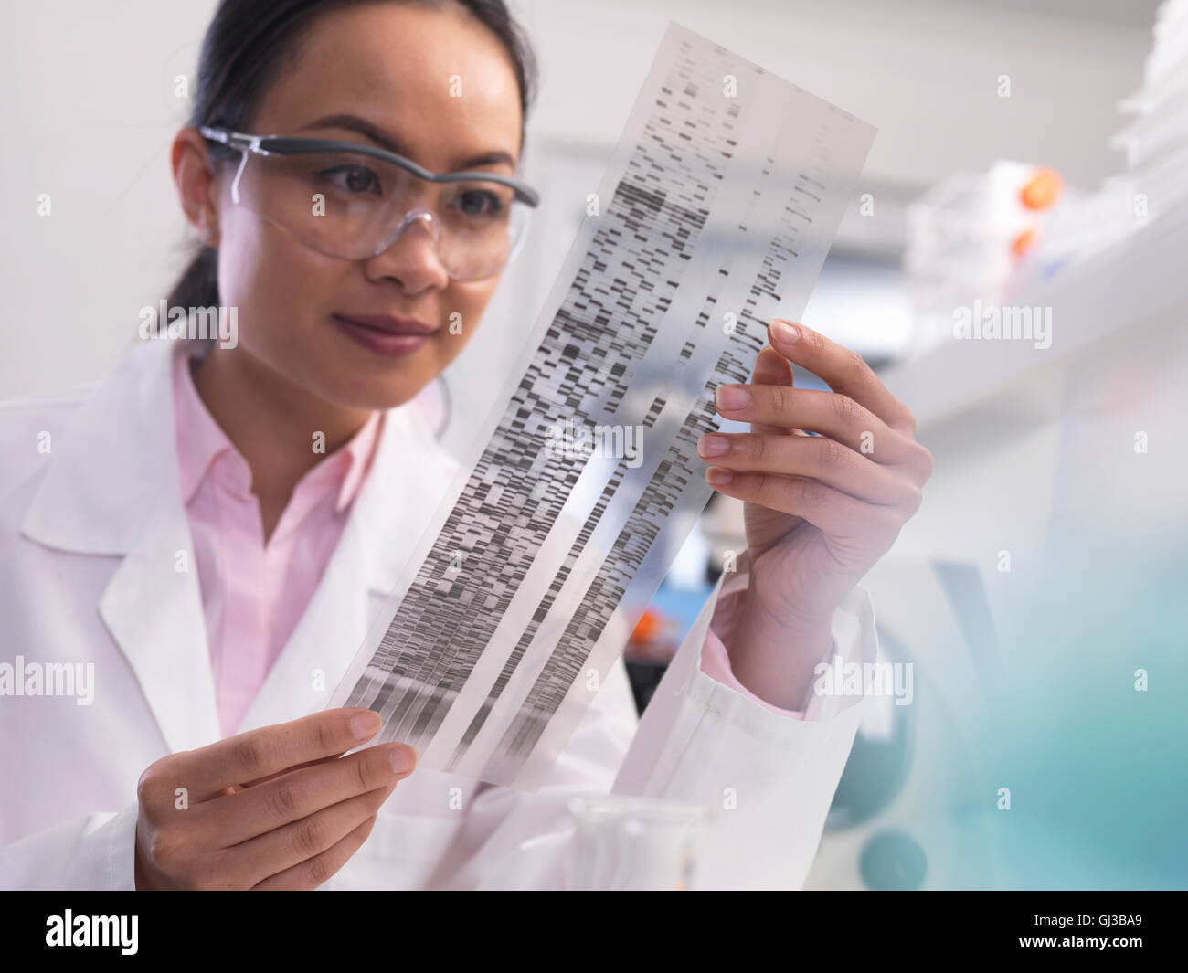 Scientist viewing a DNA profile experiment in a laboratory Stock Photo