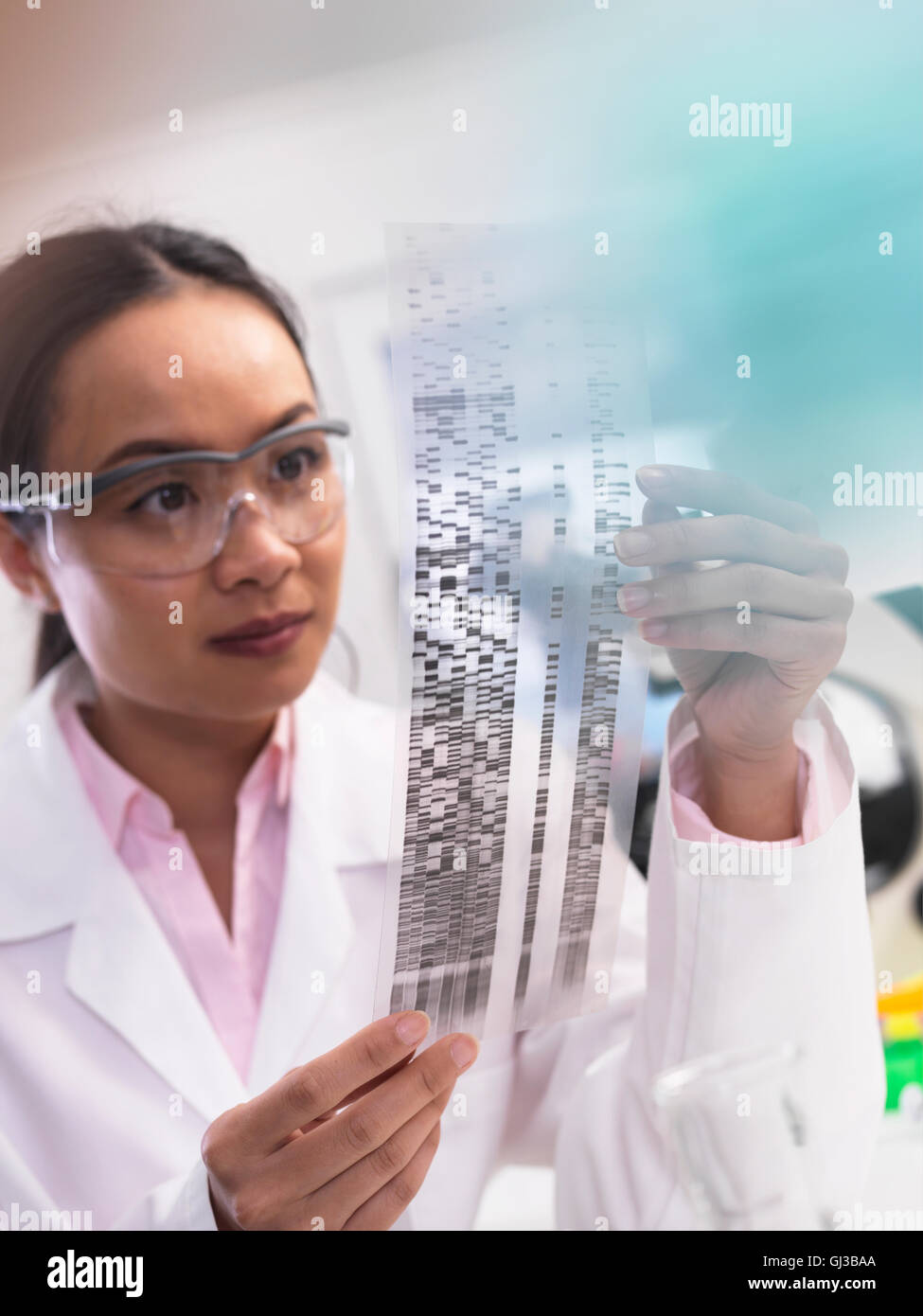 Scientist viewing a DNA profile experiment in a laboratory Stock Photo