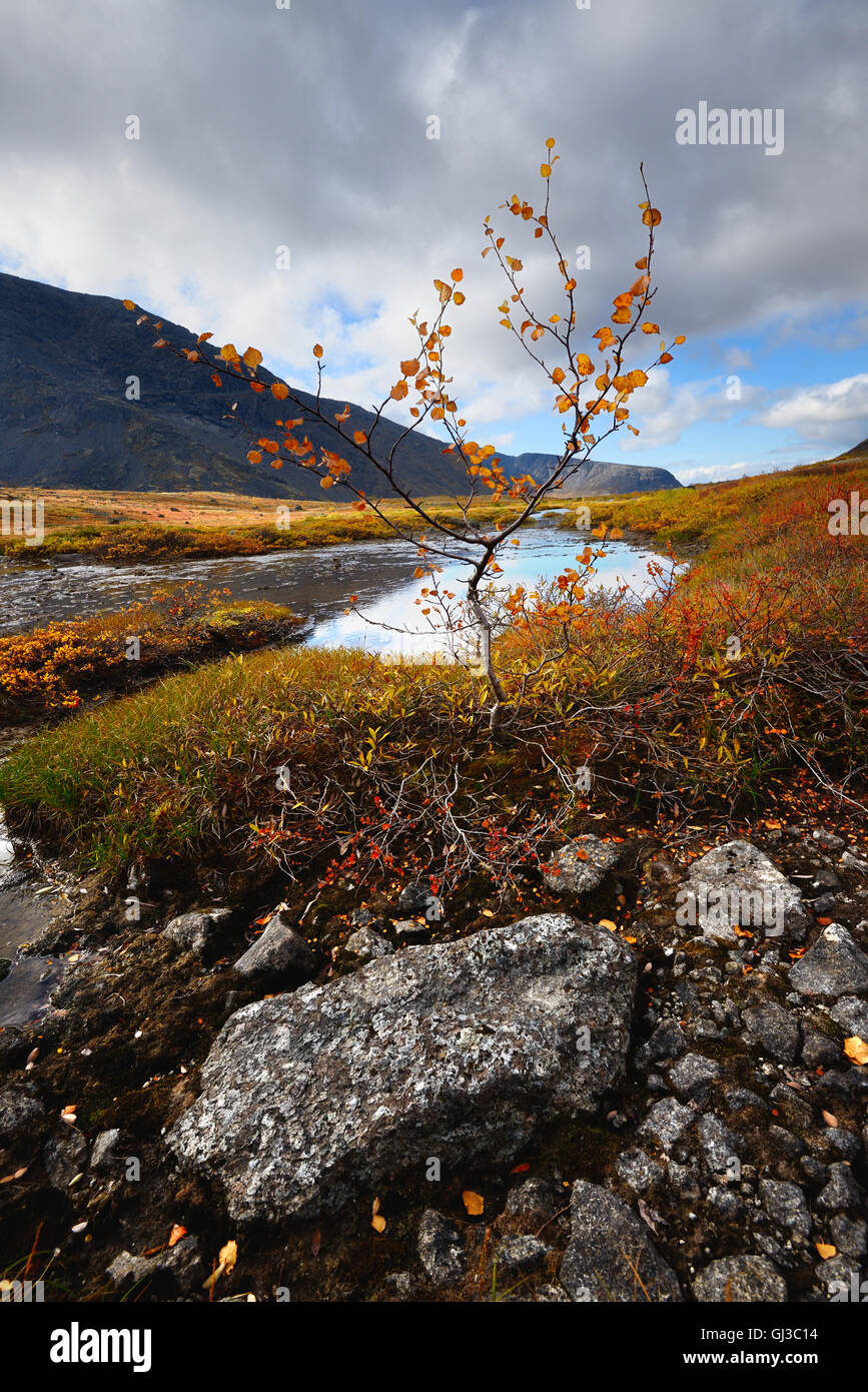 Autumn coloured valley at Malaya Belaya river, Khibiny mountains, Kola Peninsula, Russia Stock Photo