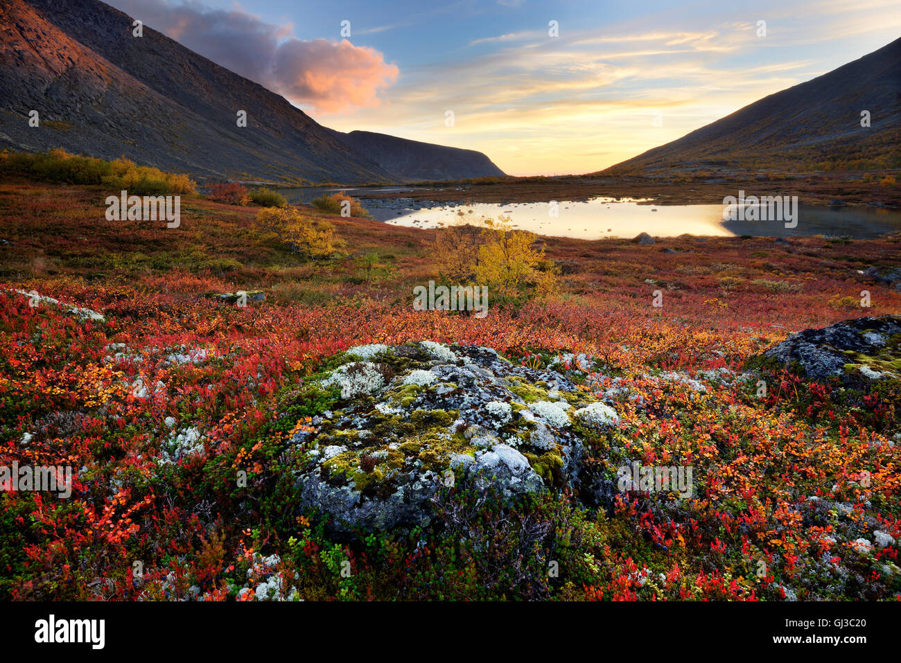 Autumn colours in Malaya Belaya River valley at dusk, Khibiny mountains, Kola Peninsula, Russia Stock Photo