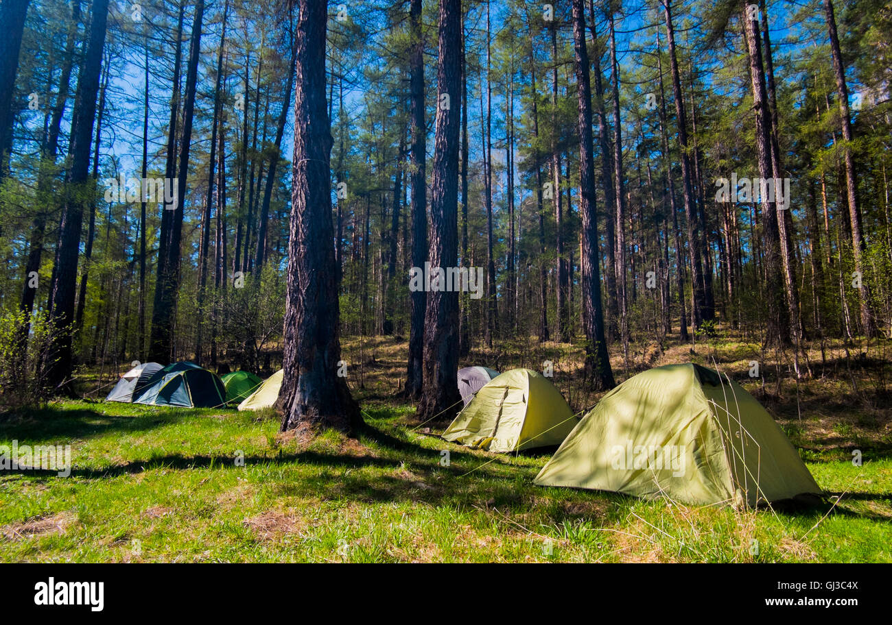Group of tents in forest, Russia Stock Photo