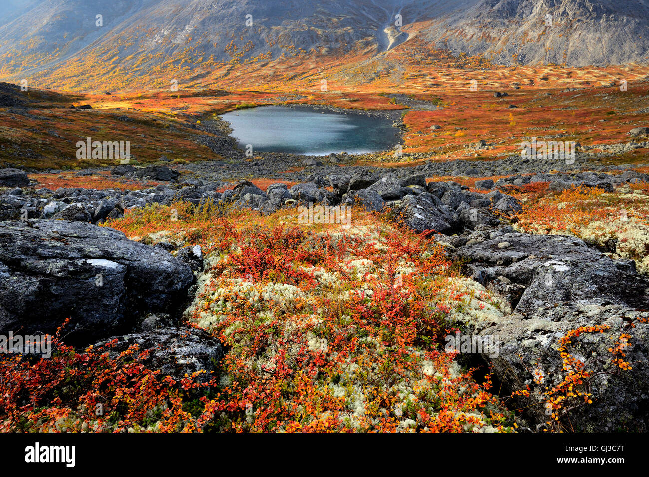 Autumn colours in Malaya Belaya River valley, Khibiny mountains, Kola Peninsula, Russia Stock Photo