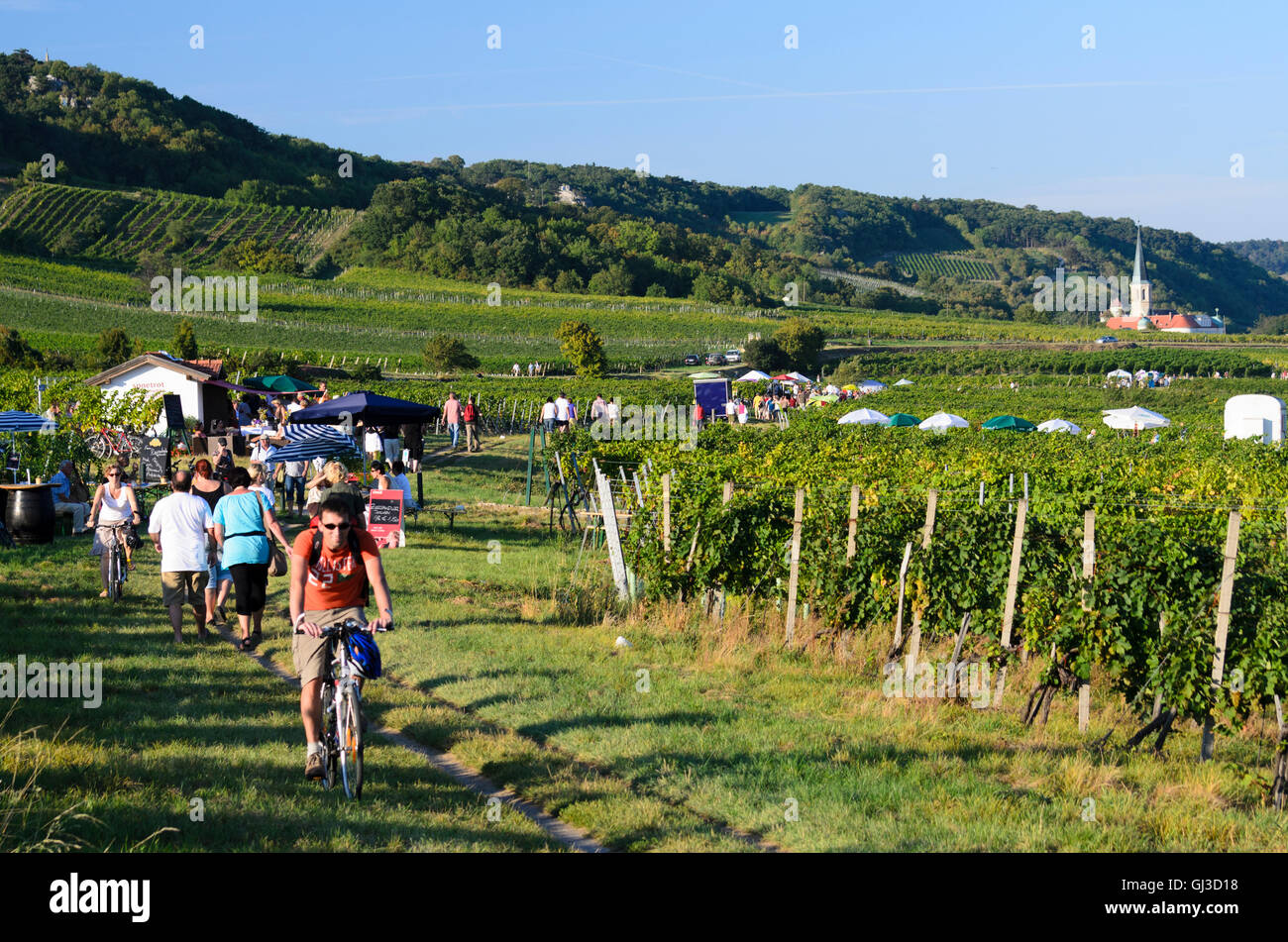 Gumpoldskirchen: Wine Festival in the vineyards, overlooking the German Order Castle, vineyard, people, Austria, Niederösterreic Stock Photo