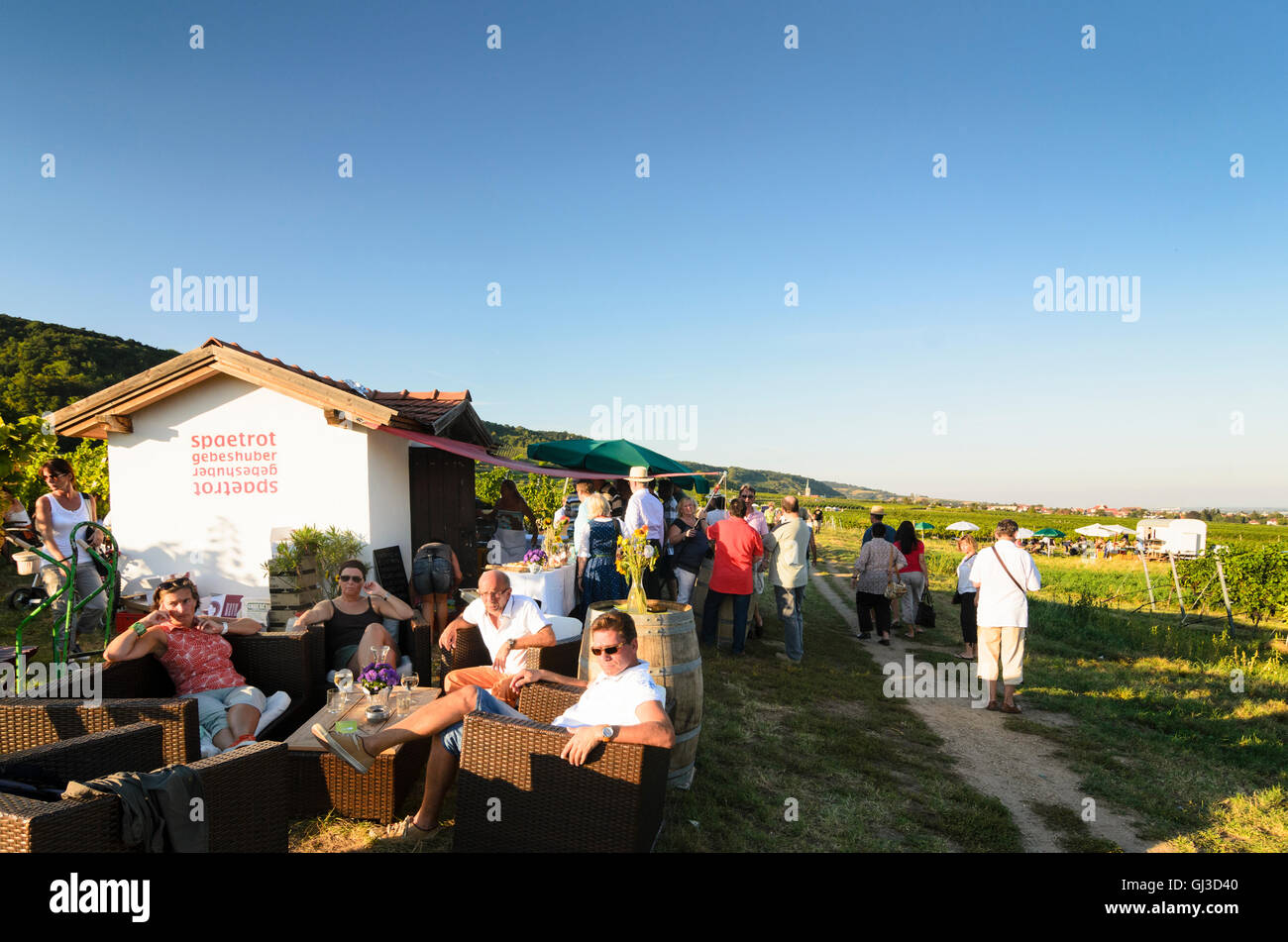 Gumpoldskirchen: Wine Festival in the vineyards, people, vineyard, Austria, Niederösterreich, Lower Austria, Wienerwald, Vienna Stock Photo