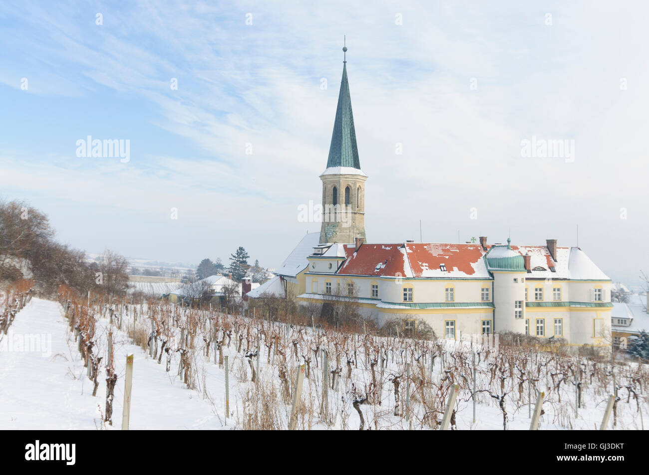 Gumpoldskirchen: German Order Castle with vineyards, Austria, Niederösterreich, Lower Austria, Wienerwald, Vienna Woods Stock Photo
