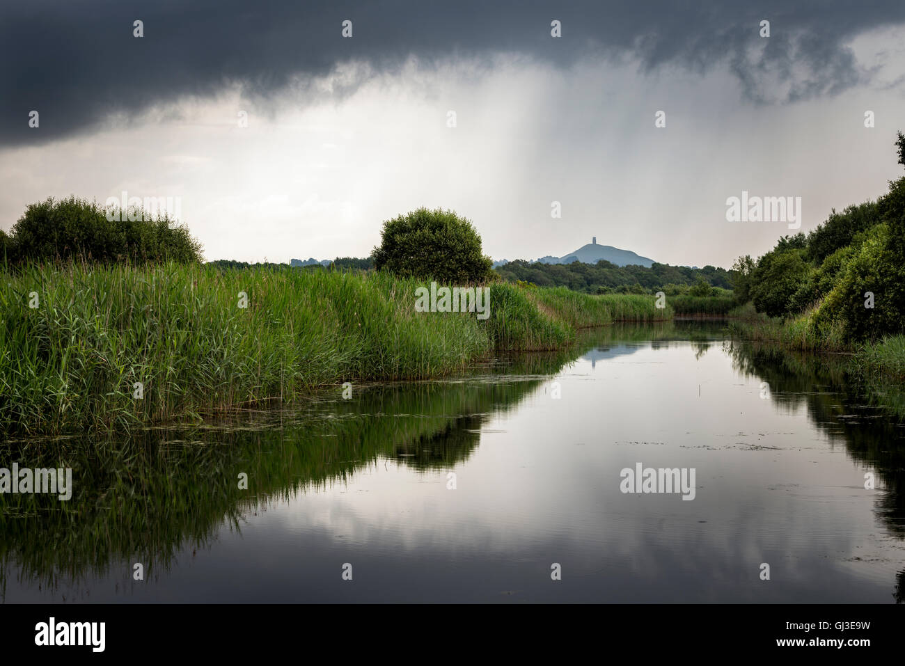 A view from Ham wall of dark clouds and heavy rain over Glastonbury tor. Stock Photo