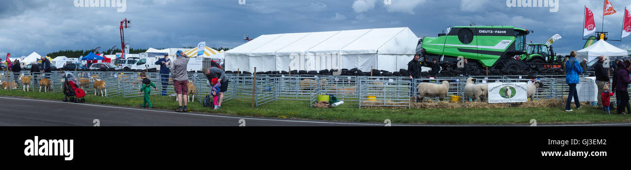 Sheep Pens, Haddington Show, East Fortune, East Lothian Stock Photo